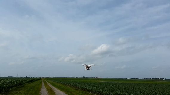 小型无人机系统用于高通量表型分析