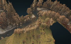 UAV传播的topobathymetric Lidar的水下枯草和植被