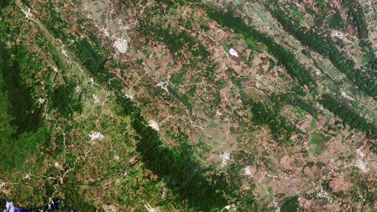Ecometrica领导Extension to Forests 2020 Project