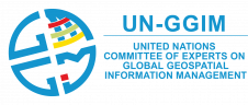 The First-ever Online-only UN-GGIM Session