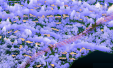 Teren Kicks Off U.S. Nationwide 4D Lidar Content Library Programme