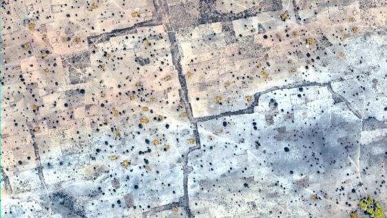 Supporting Polio Eradication with Pléiades Satellite Imagery