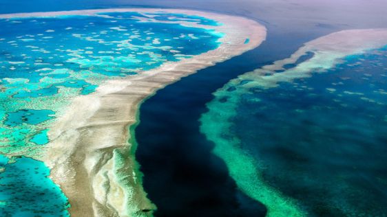 Unique 3D Habitat Map of the Great Barrier Reef