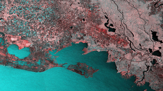 在路易斯安那州的飓风Laura登陆的Sentinel-1图像