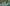 New LINZ Basemaps Showcase New Zealand in Stunning Detail