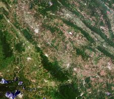 Ecometrica领导扩展森林2020 Project