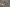 用于绘制绿色屋顶地图的蓝天航拍照片