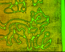How RedTail LiDAR Systems Produces Detailed Corn Maze Images