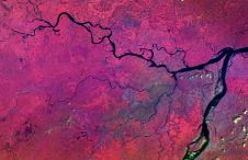 直接通过UP42 API获得卫星地球观测数据